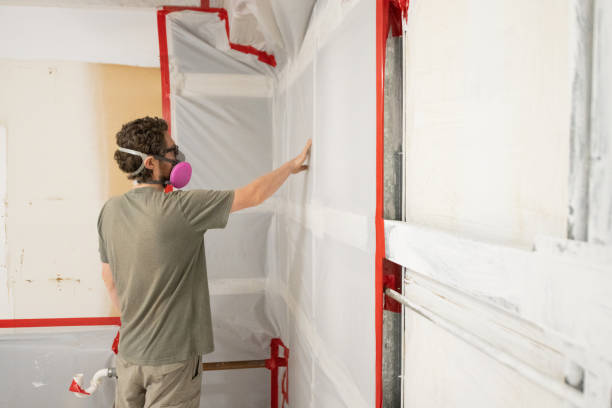  Beaver Dam Lake, NY Mold Removal Pros