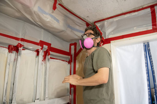 Asbestos and Lead Testing During Mold Inspection in Beaver Dam Lake, NY