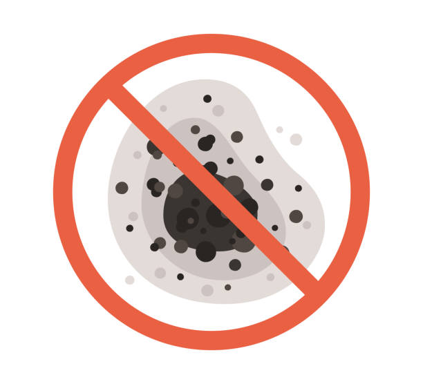 Best Residential Mold Inspection & Testing  in Beaver Dam Lake, NY