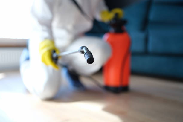 Best Air Quality Testing for Mold Spores  in Beaver Dam Lake, NY