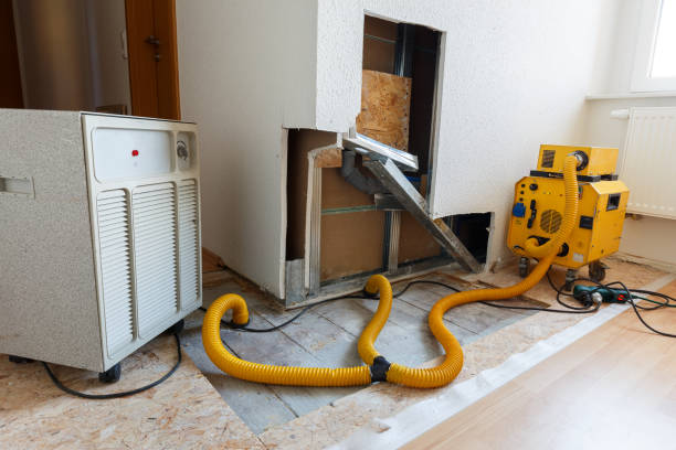 Mold Removal for HVAC Installations