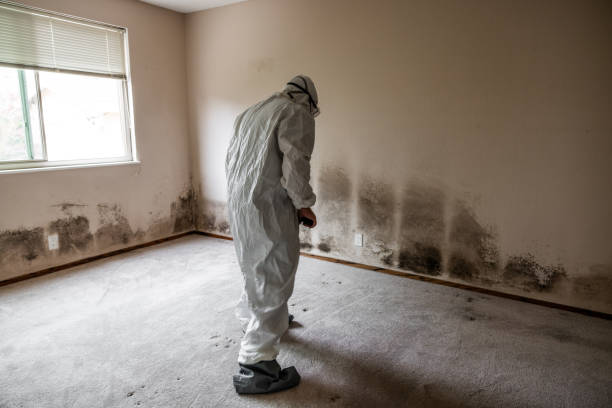 Mold Documentation for Insurance Claims in Beaver Dam Lake, NY